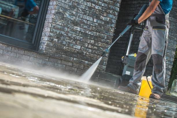 Best Boat and Dock Cleaning  in Dland, MI