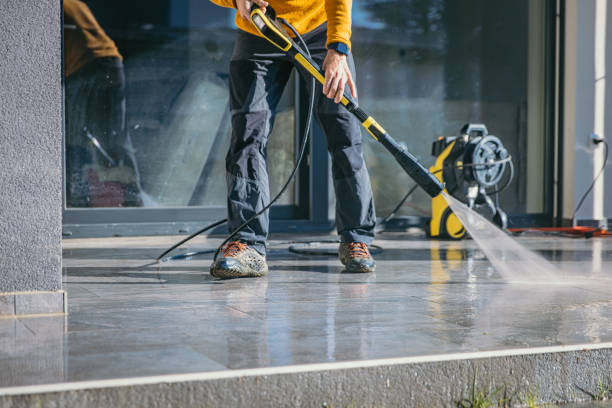Best Roof Washing  in Dland, MI