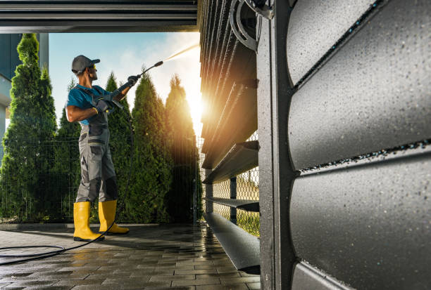 Best House Exterior Washing  in Dland, MI